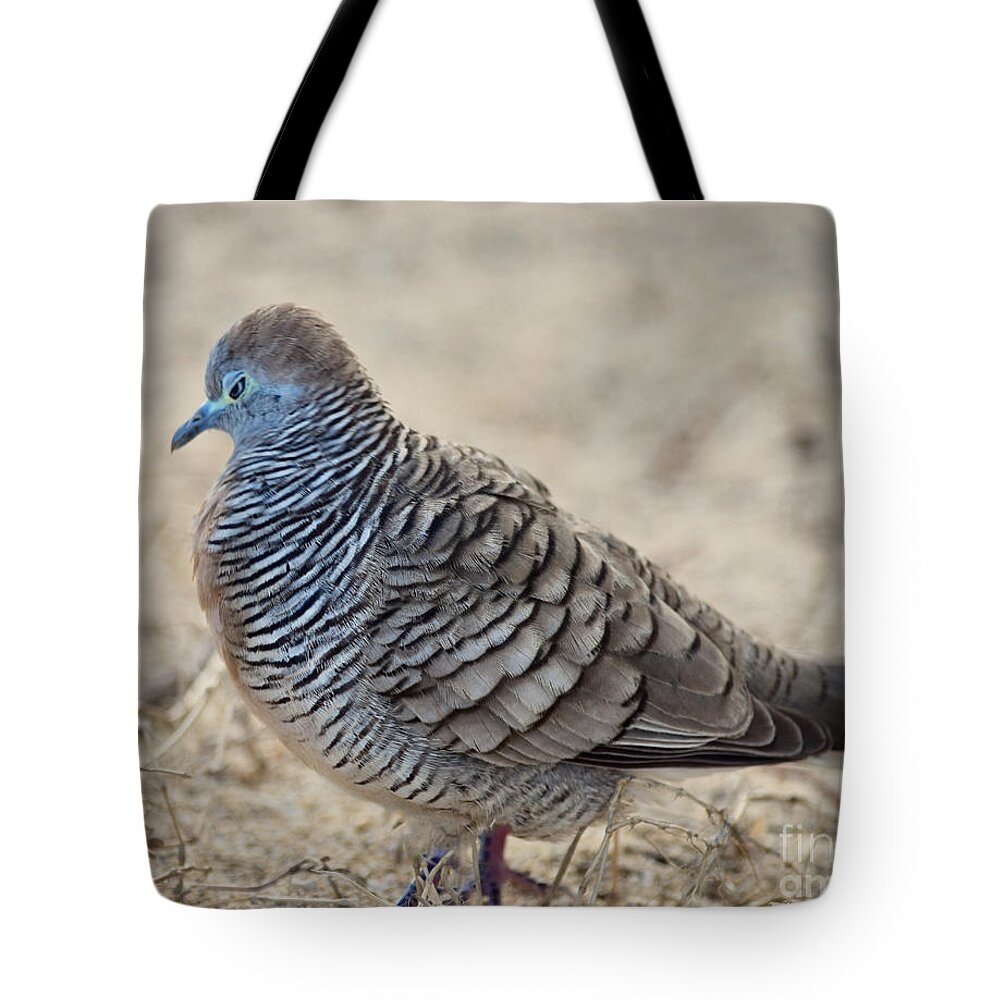 Zebra Dove Tote Bag featuring the photograph Angry Zebra Dove by Debra Banks