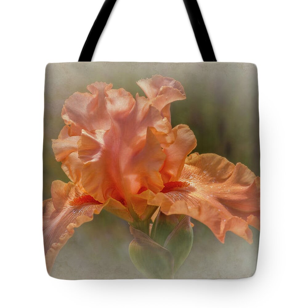 Flowers Tote Bag featuring the photograph Apricot Iris 3 by Elaine Teague