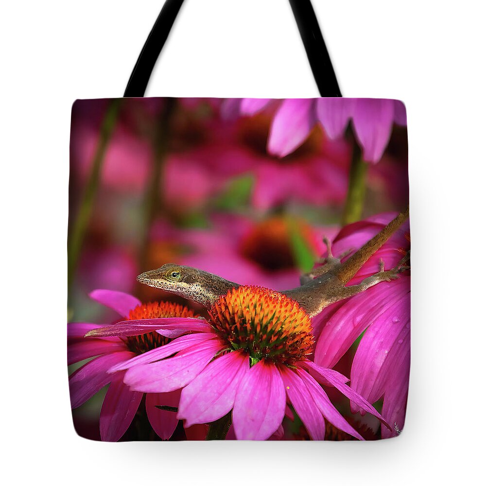 Pink Tote Bag featuring the photograph Anole Lizard in Pinks by Pam Rendall