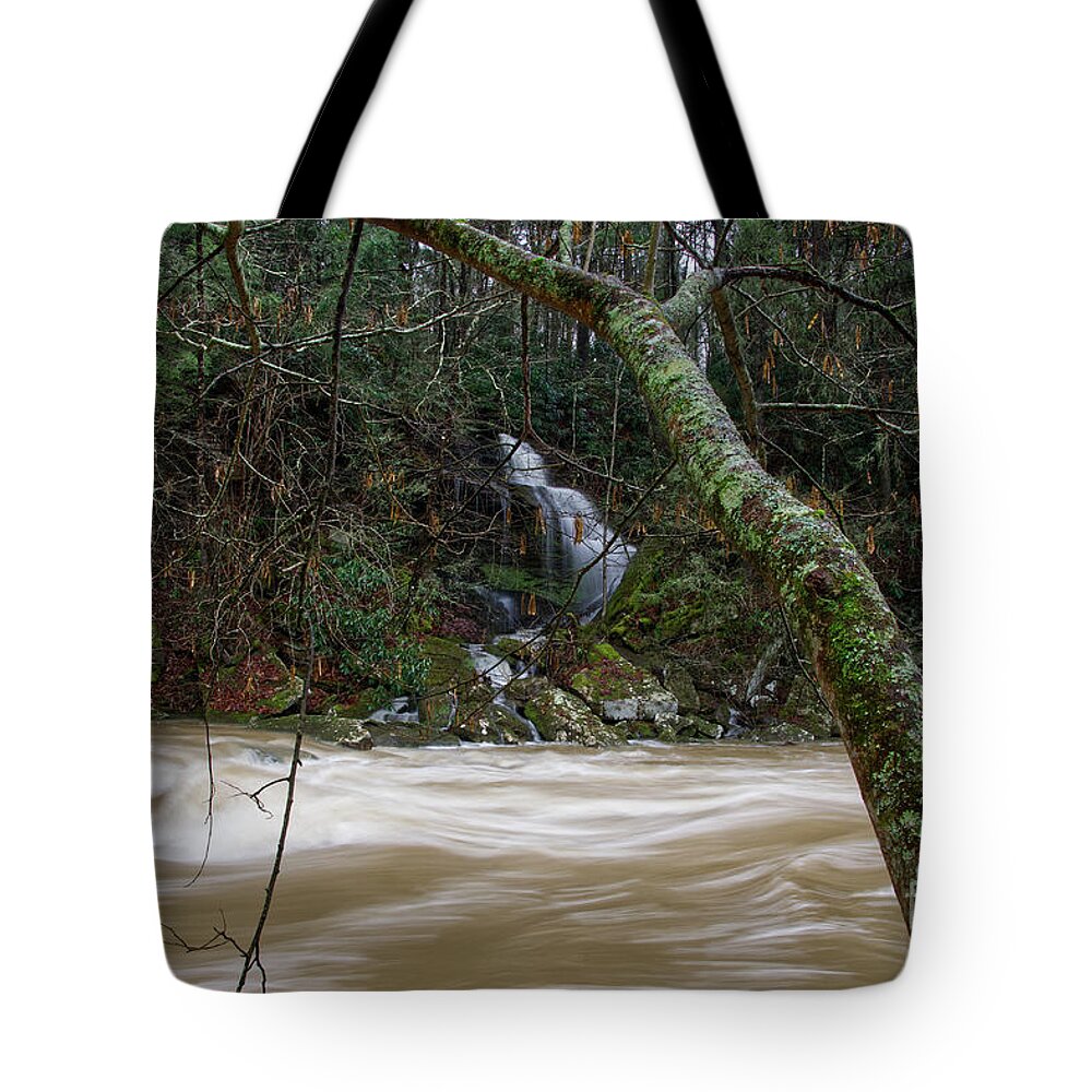 Waterfall Tote Bag featuring the photograph Another Waterfall 1 by Phil Perkins