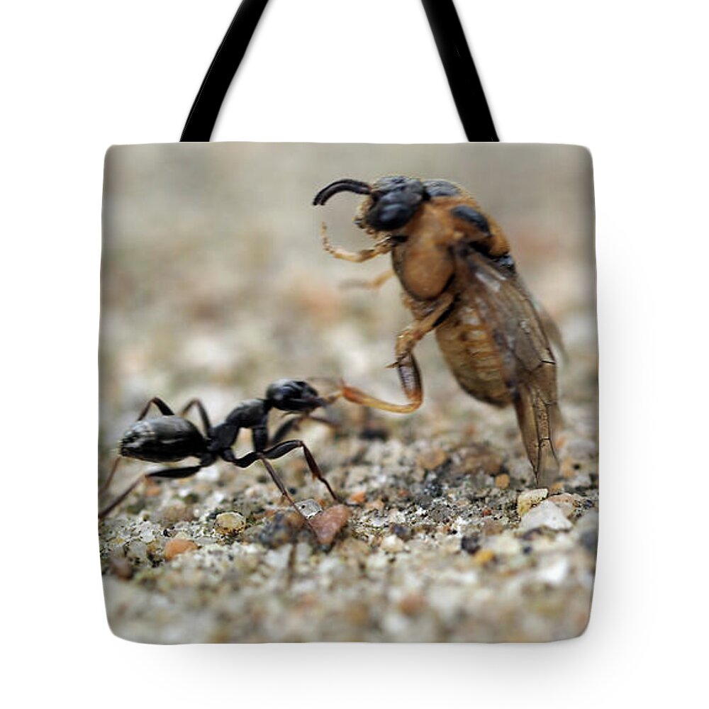 Ant Tote Bag featuring the painting Ant at work by Sv Bell