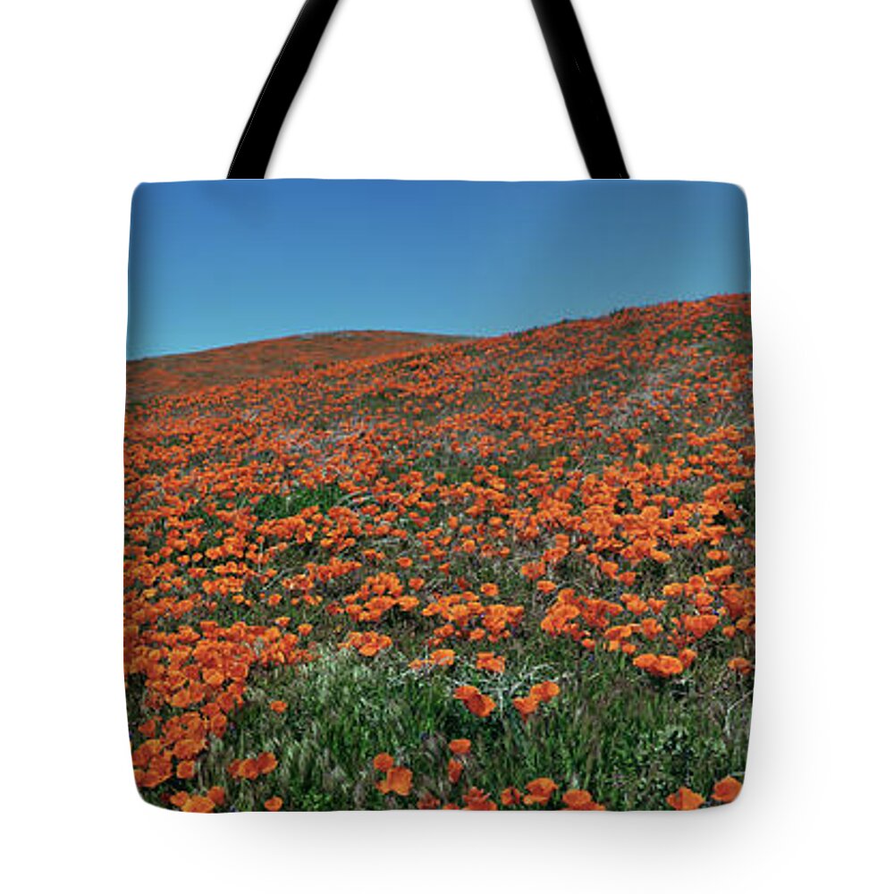 Tom Daniel; Photo; Photography; Photographer; Tom Daniels; California; Ca; Usa; West; American West; Flower; Flowers; Wildflower; Wildflowers; Bloom; Horizontal; Lancaster; Poppy; Poppies; Antelope Valley; State Flower Tote Bag featuring the photograph Antelope Valley Poppy Reserve by Tom Daniel