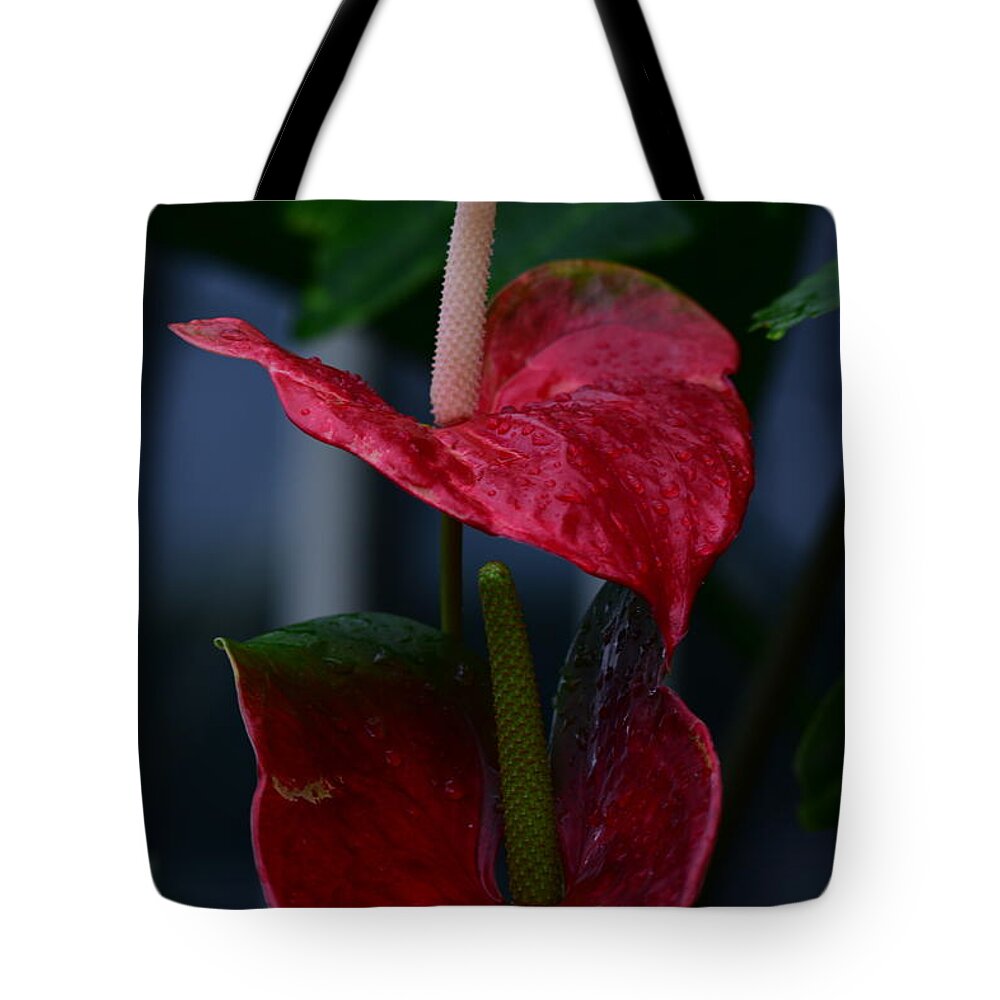 Flowers Tote Bag featuring the digital art Anthurium Flower by Yenni Harrison