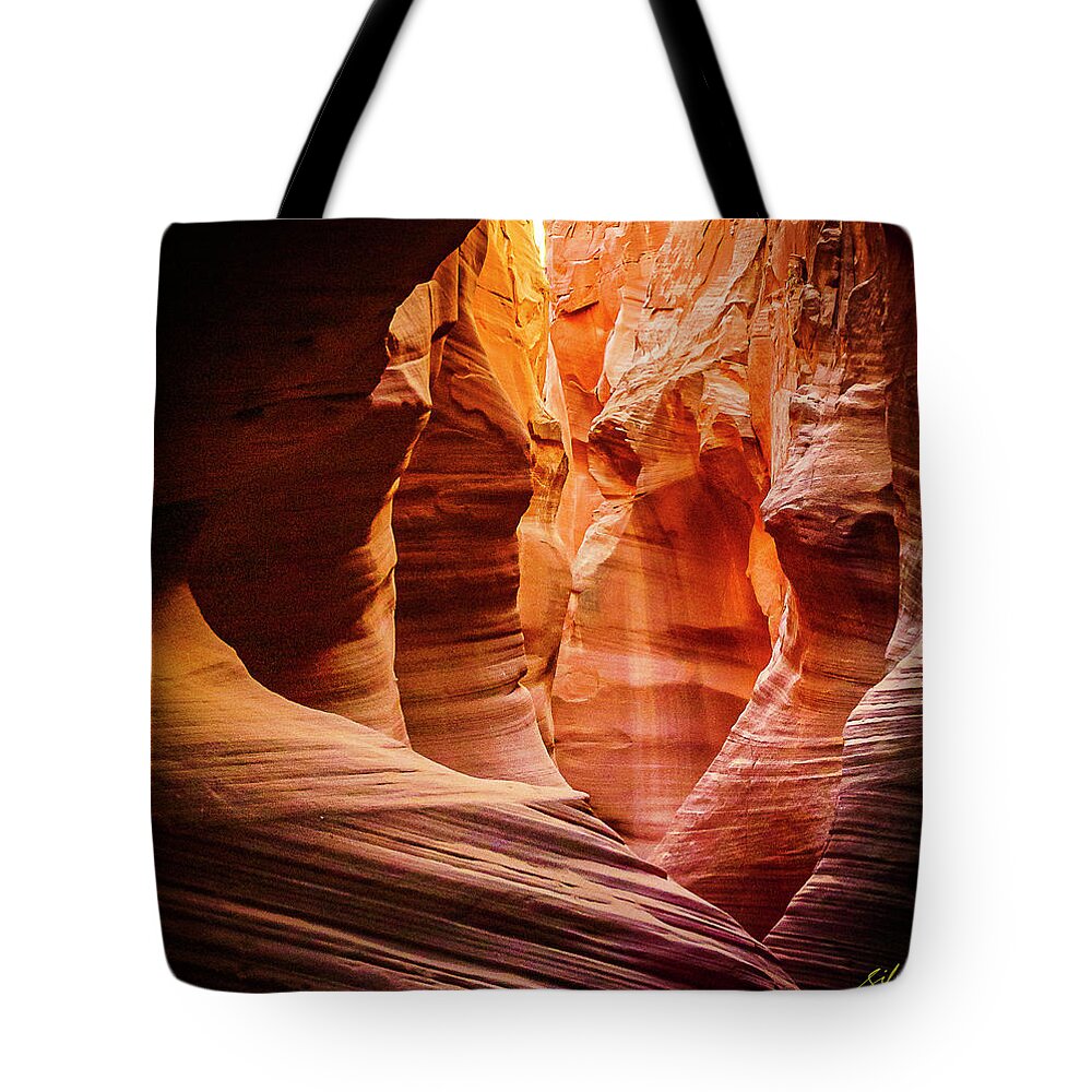 Landscape Tote Bag featuring the photograph Antilope Series 13 by Silvia Marcoschamer