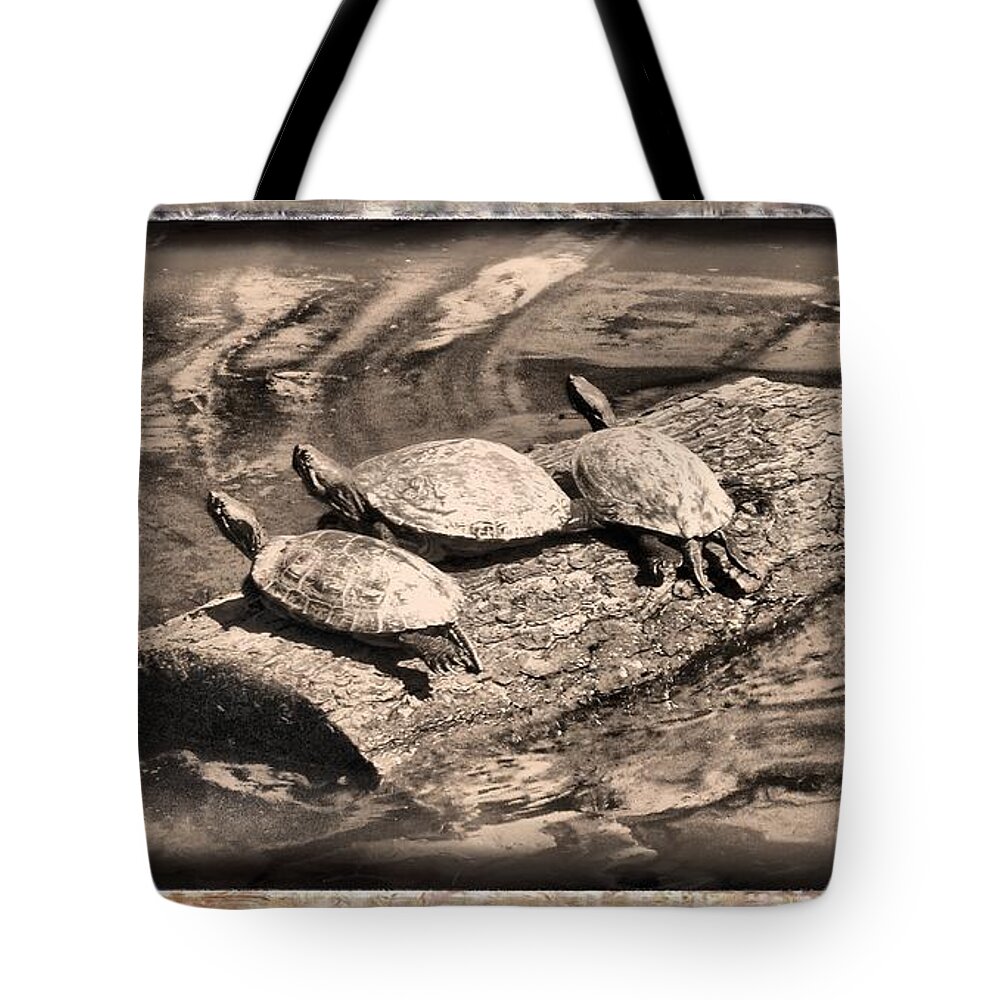 Turtle Tote Bag featuring the mixed media Antique Turtles by Christopher Reed