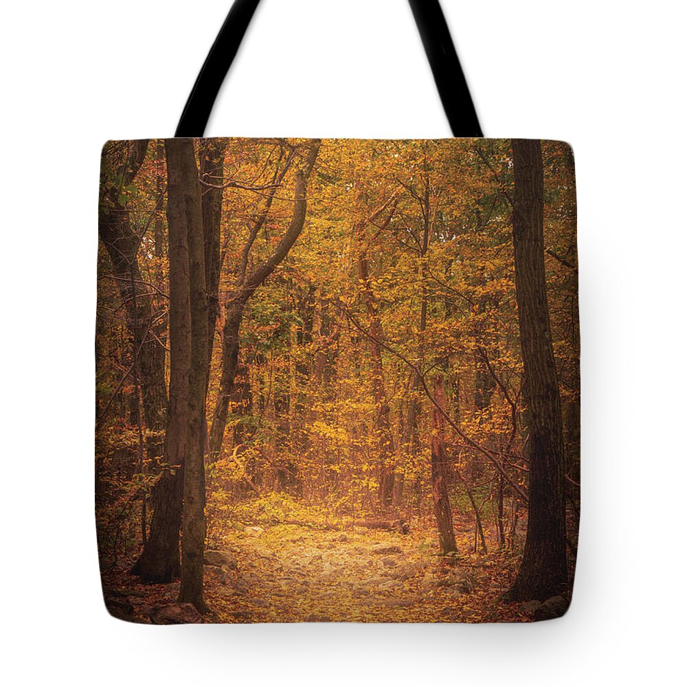 Appalachian Trail Tote Bag featuring the photograph Appalachian Trail Stony Path in the Fall by Jason Fink