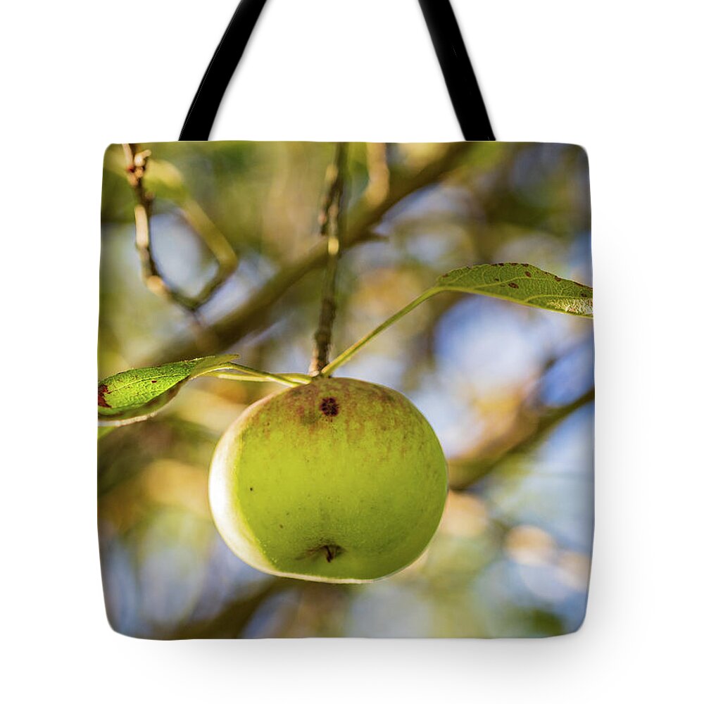 Nature Tote Bag featuring the photograph Apple Tree Fall 2020 3 by Amelia Pearn