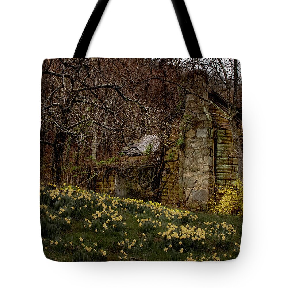 Apple Orchard Tote Bag featuring the photograph Apple Valley Ruins by Norma Brandsberg
