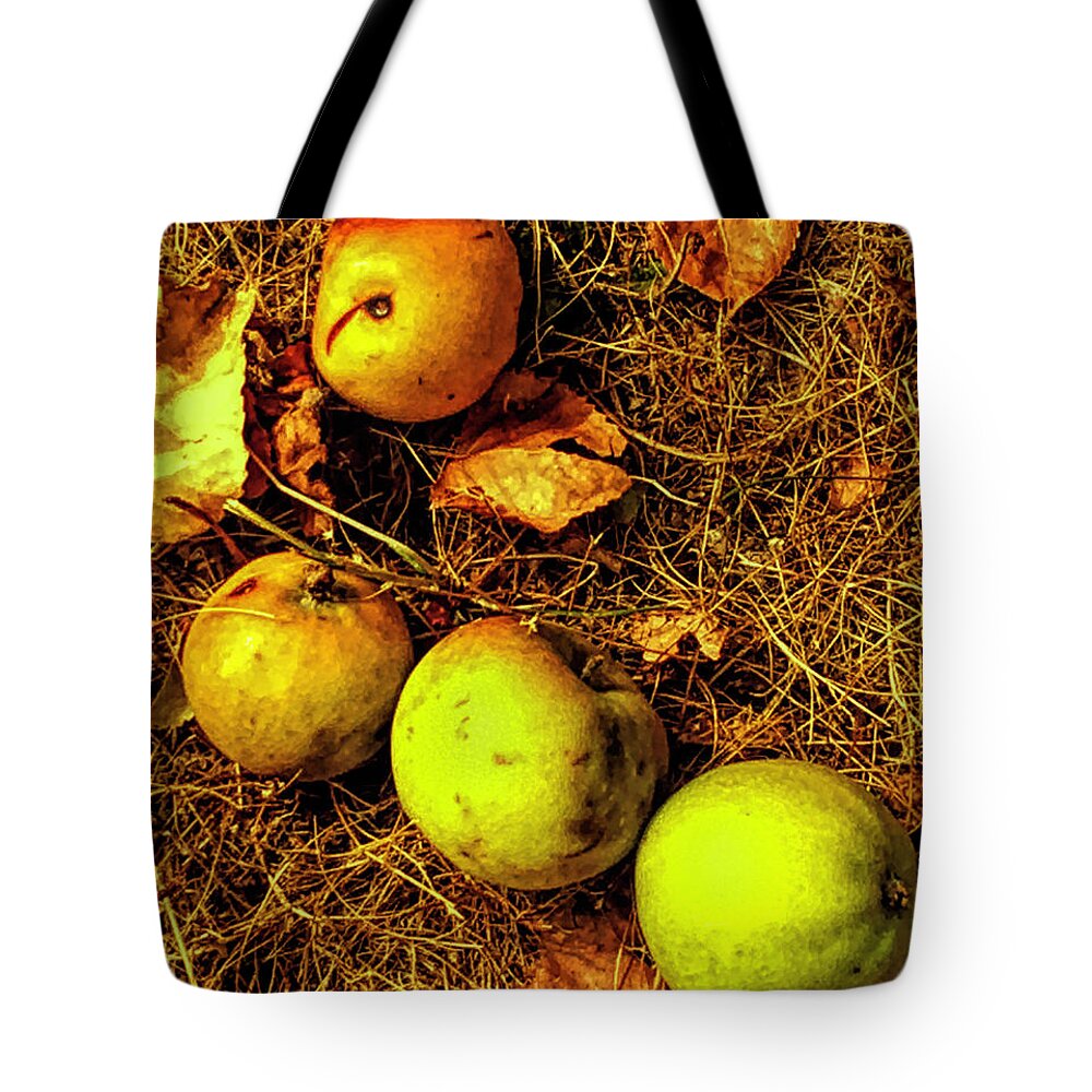 Apples Tote Bag featuring the photograph Apples by Kathryn Alexander MA