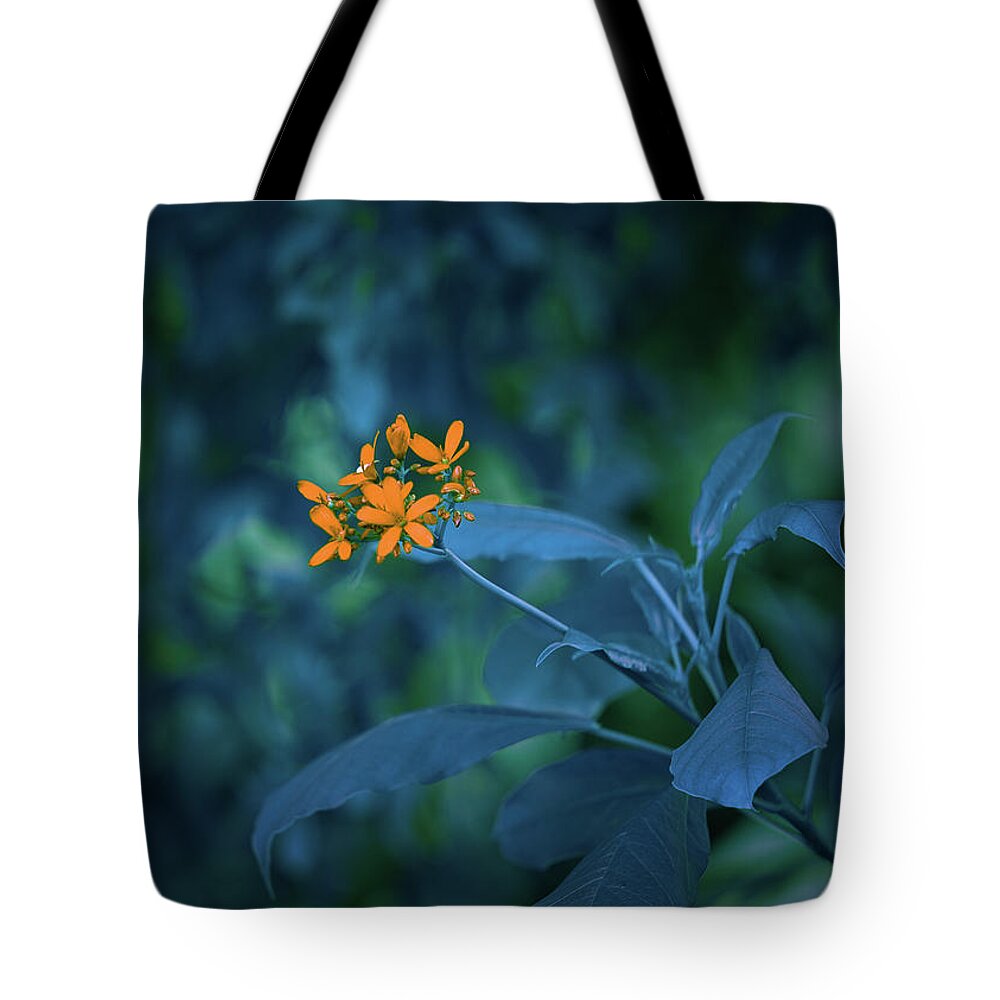 Blue Flower Art Tote Bag featuring the photograph Aquarius of The Realm by Gian Smith
