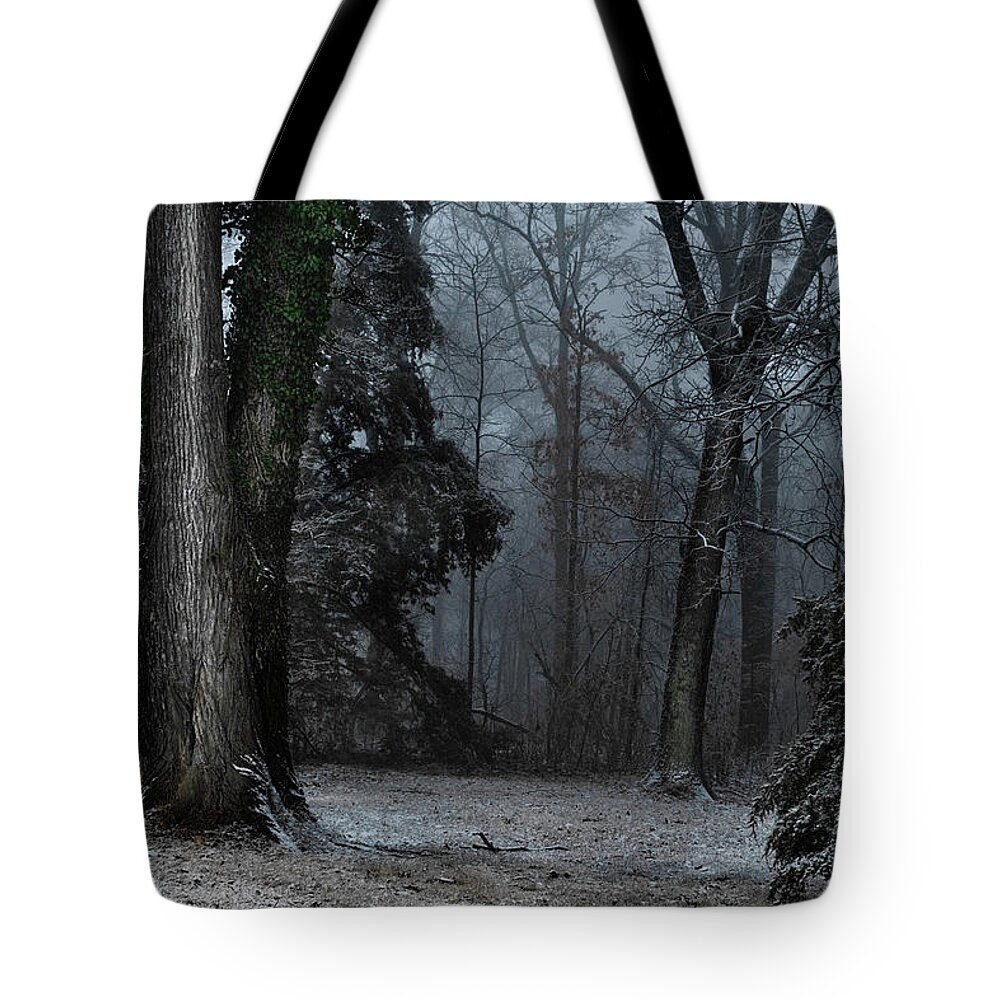 Arboreal Tote Bag featuring the digital art Arboreal Kindred Spirits by William Fields