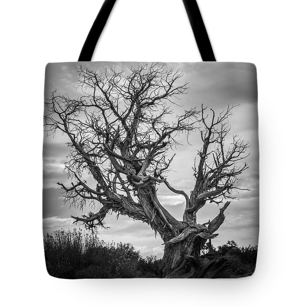 Black And White Tote Bag featuring the photograph Arches NP XXVI BW by David Gordon