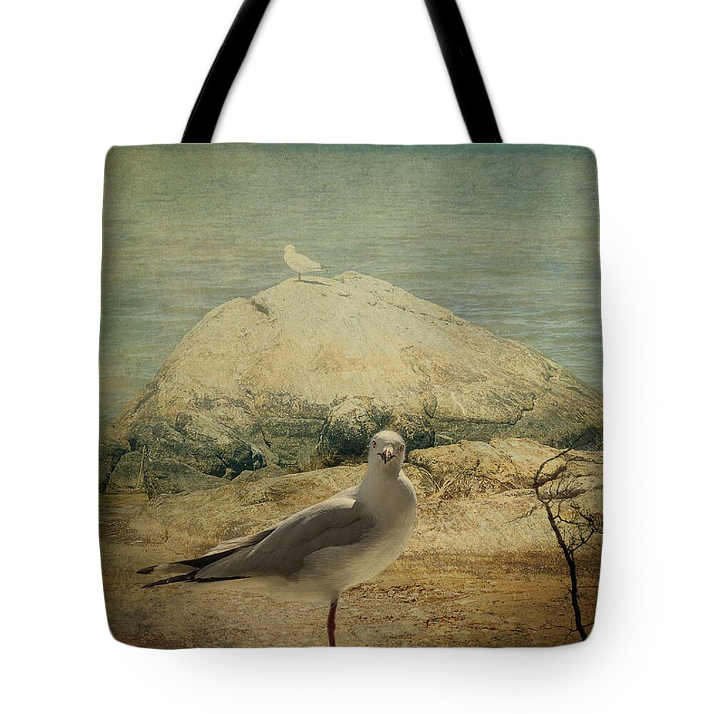 Seagull Tote Bag featuring the photograph Are You Going to Shoot Me? by Elaine Teague