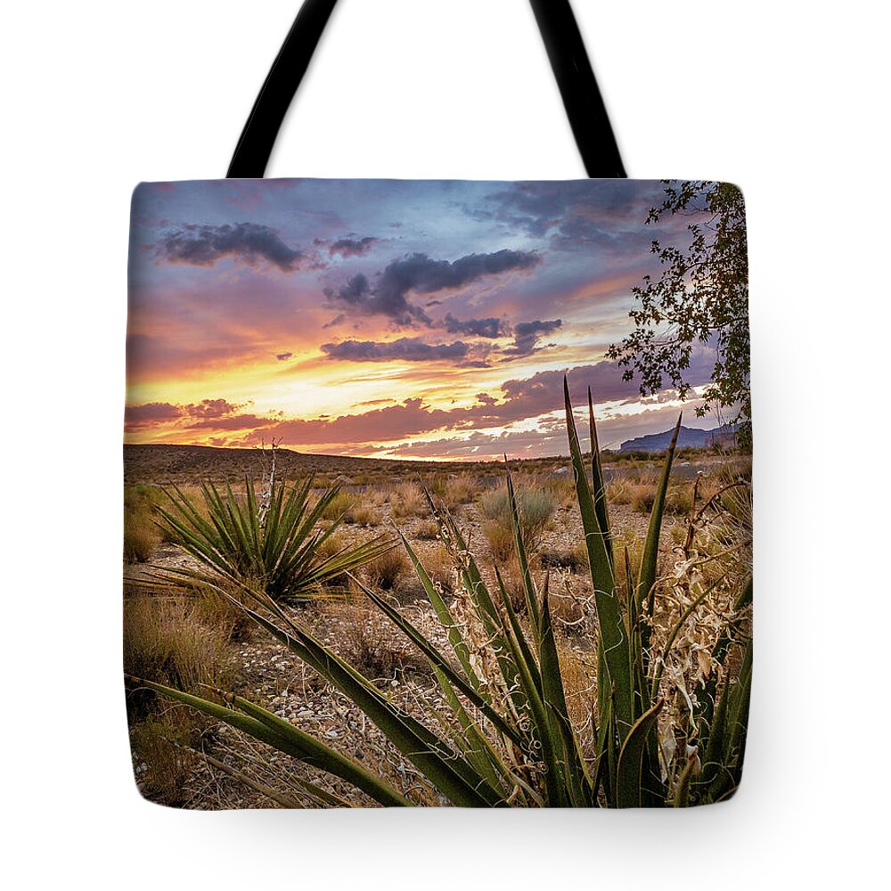 Lake Powell Tote Bag featuring the photograph Arizona Desert Sunset by Bradley Morris