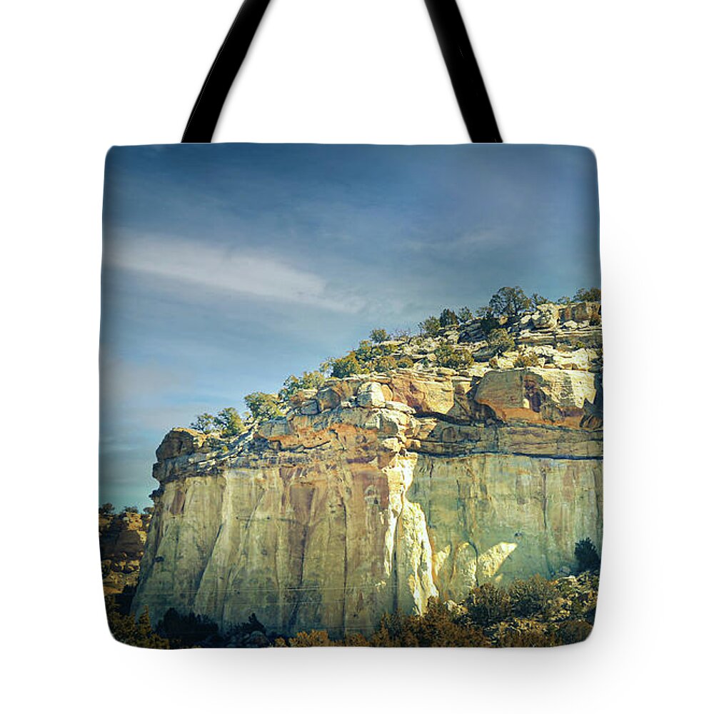 Arizona Tote Bag featuring the photograph Arizona Geology by Jason Fink