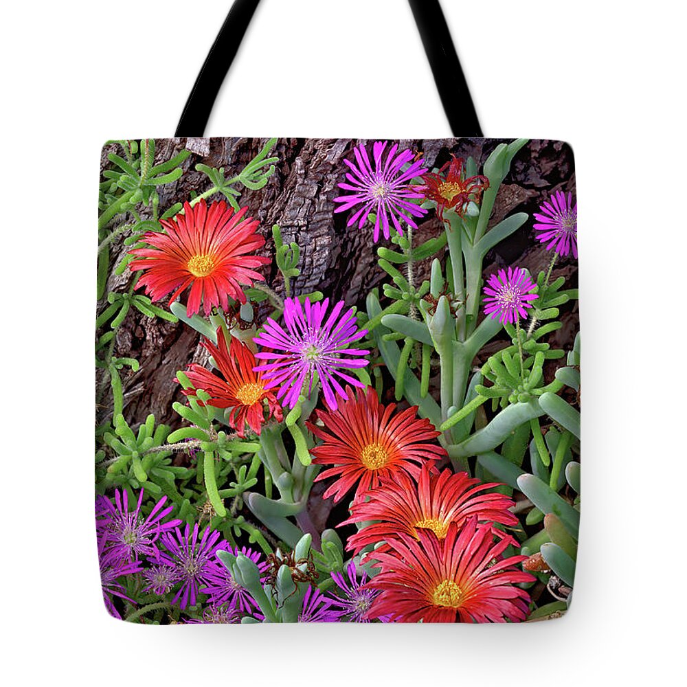 Flower Tote Bag featuring the photograph Arizona Wildflowers by Bob Falcone