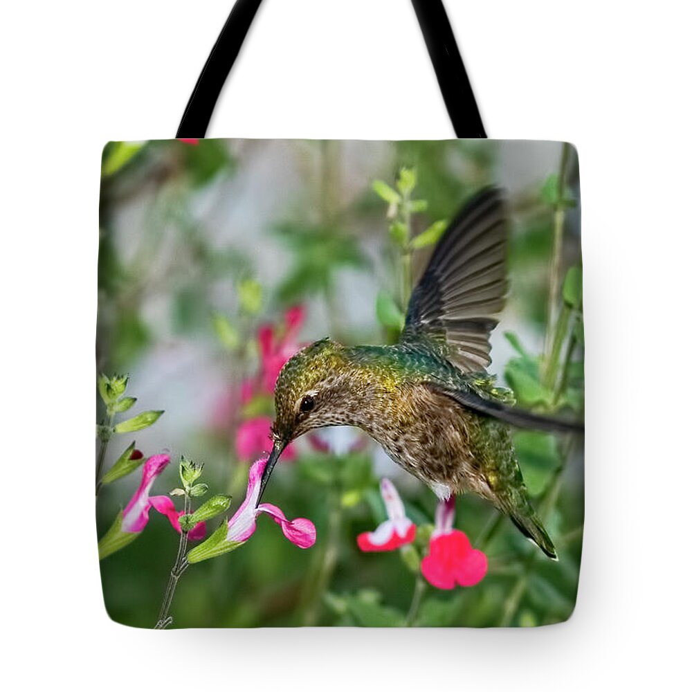 Hummingbird Tote Bag featuring the photograph Armor Plated by Dan McGeorge