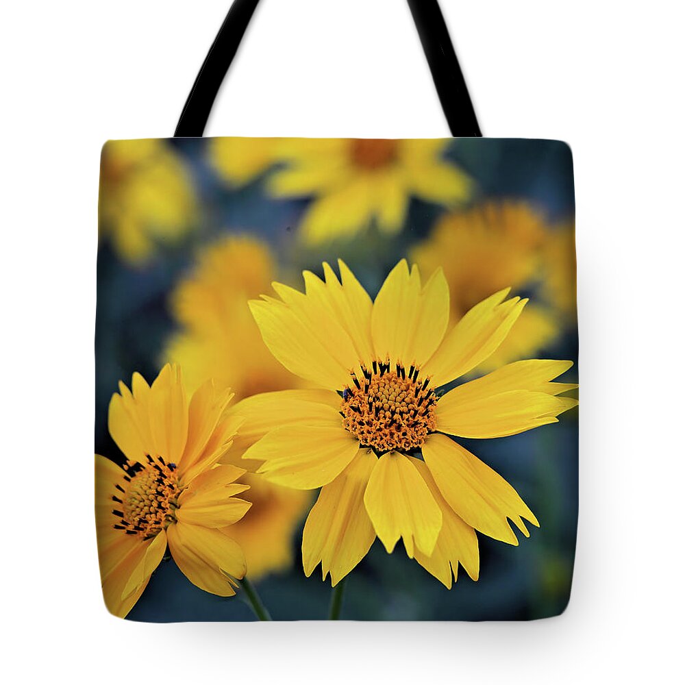 Arnica Tote Bag featuring the photograph Arnica Flowers by Bob Falcone