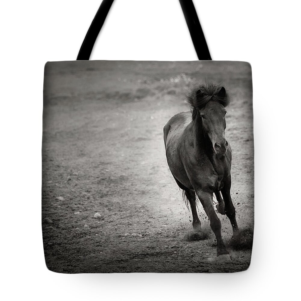 Horse Tote Bag featuring the photograph Arod - Horse Art by Lisa Saint