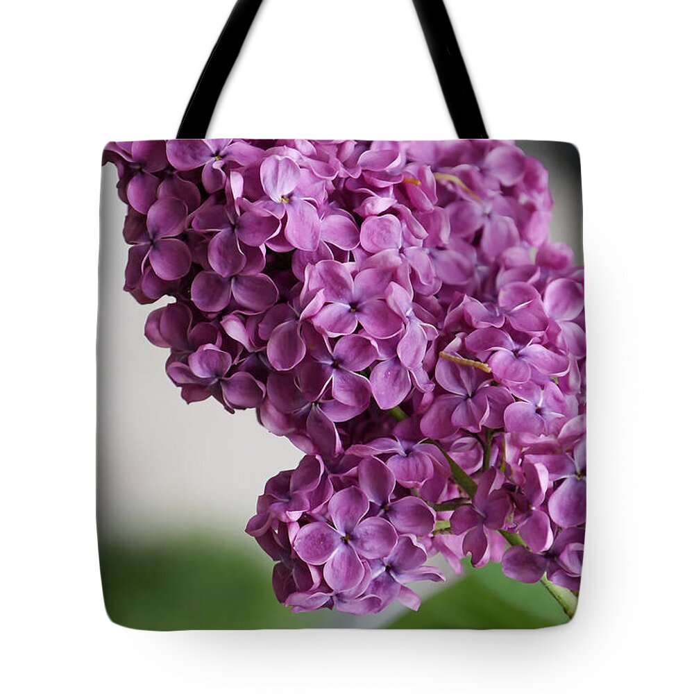 Nature Tote Bag featuring the mixed media Around The Corner by Marvin Blaine