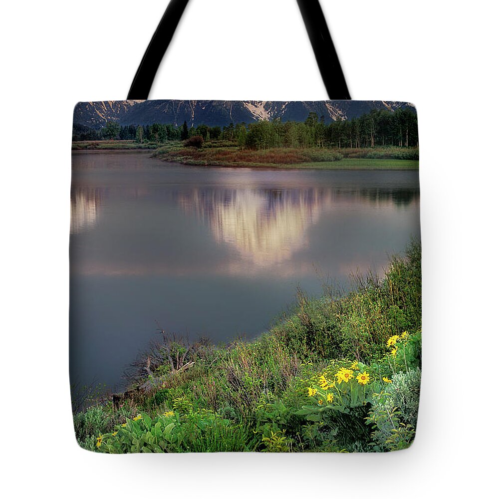 Dave Welling Tote Bag featuring the photograph Arrowleaf Balsamrood Mount Moran Grand Tetons Np by Dave Welling