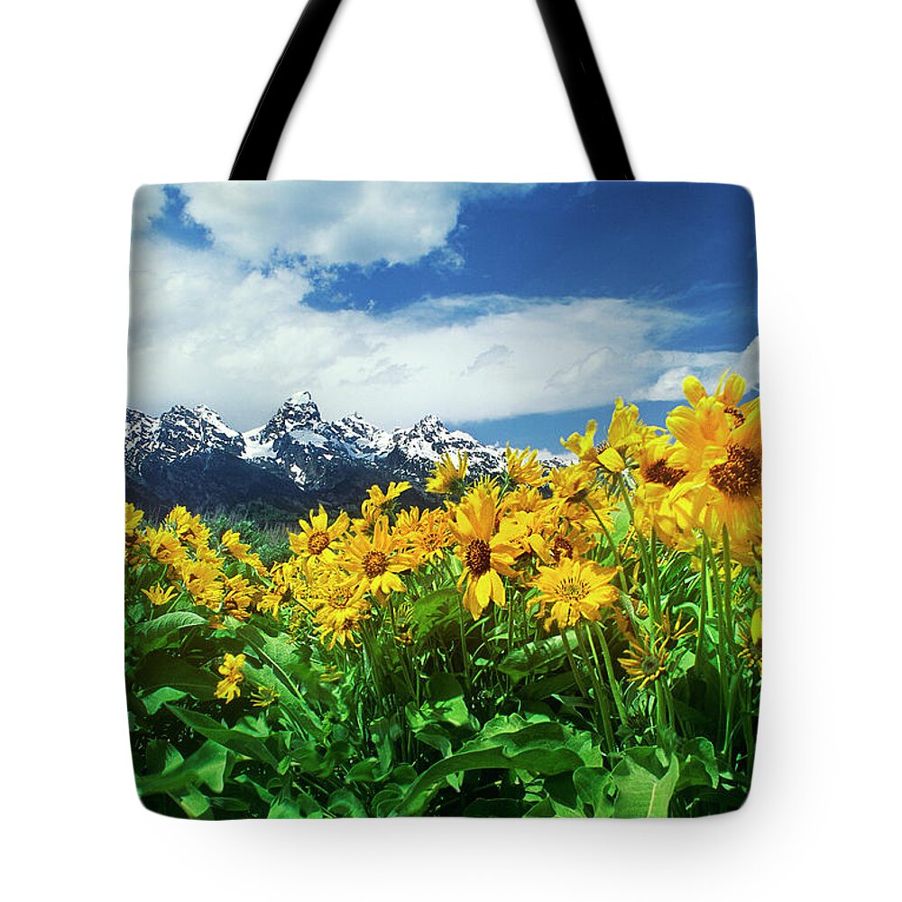 Dave Welling Tote Bag featuring the photograph Arrowleaf Balsamroot Grand Tetons National Park Wyoming by Dave Welling