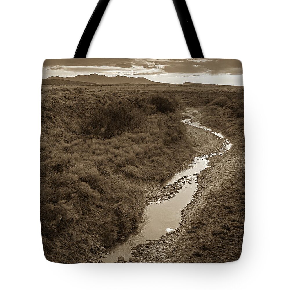 New Mexico Tote Bag featuring the photograph Arroyo by Maresa Pryor-Luzier
