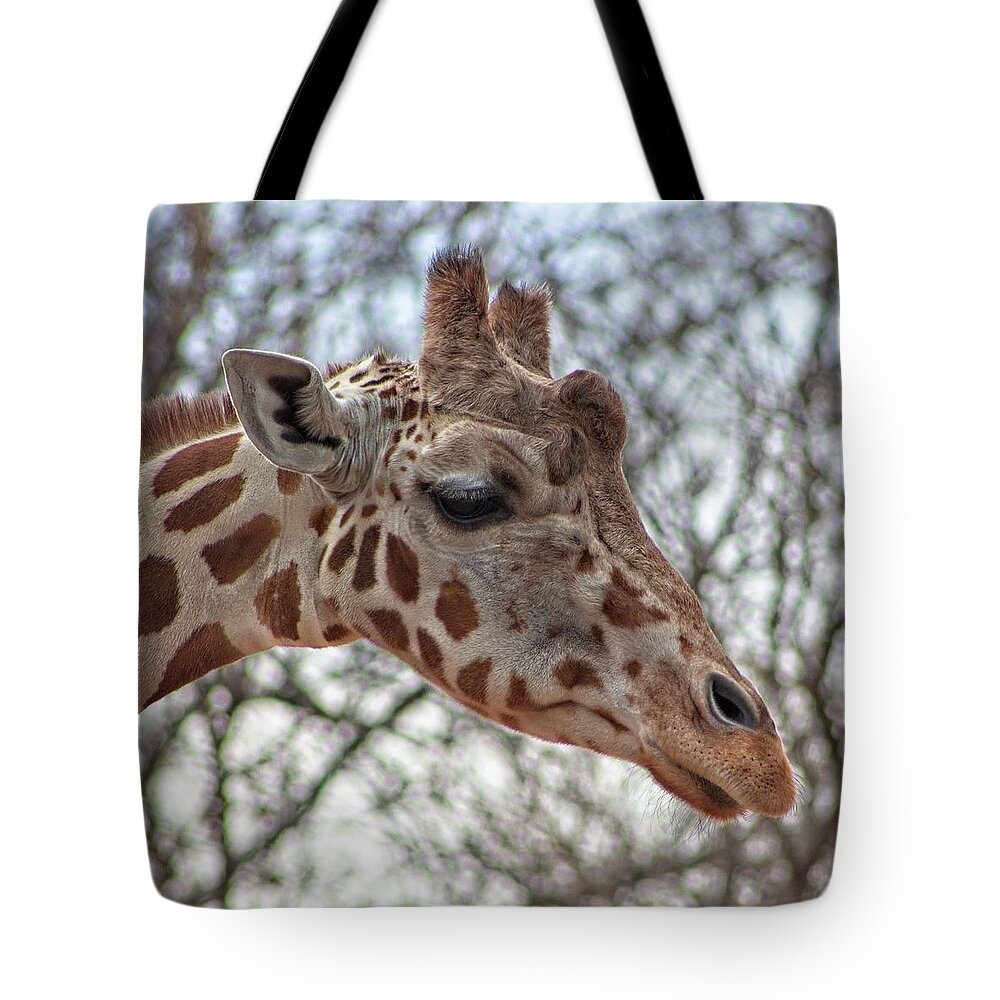 African Tote Bag featuring the photograph A Male Giraffe by Loren Gilbert