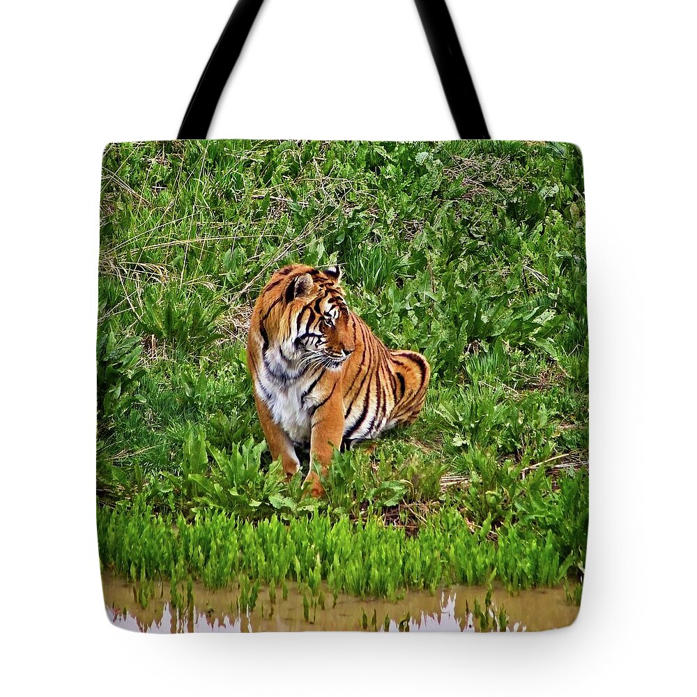 Nature Tote Bag featuring the photograph Tiger Taking A Drink #1 by Loren Gilbert