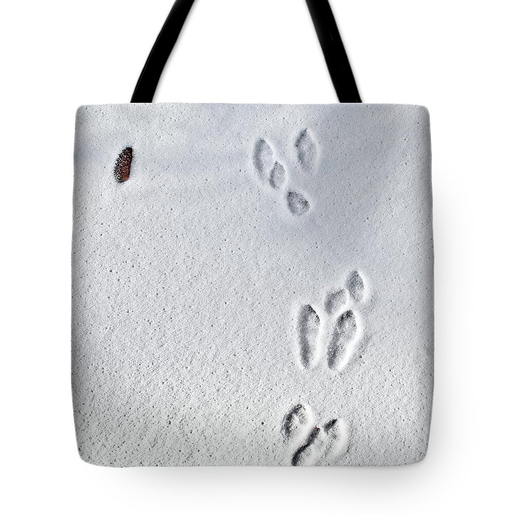 Seasonal Tote Bag featuring the photograph Forest Still Life #3 by Loren Gilbert