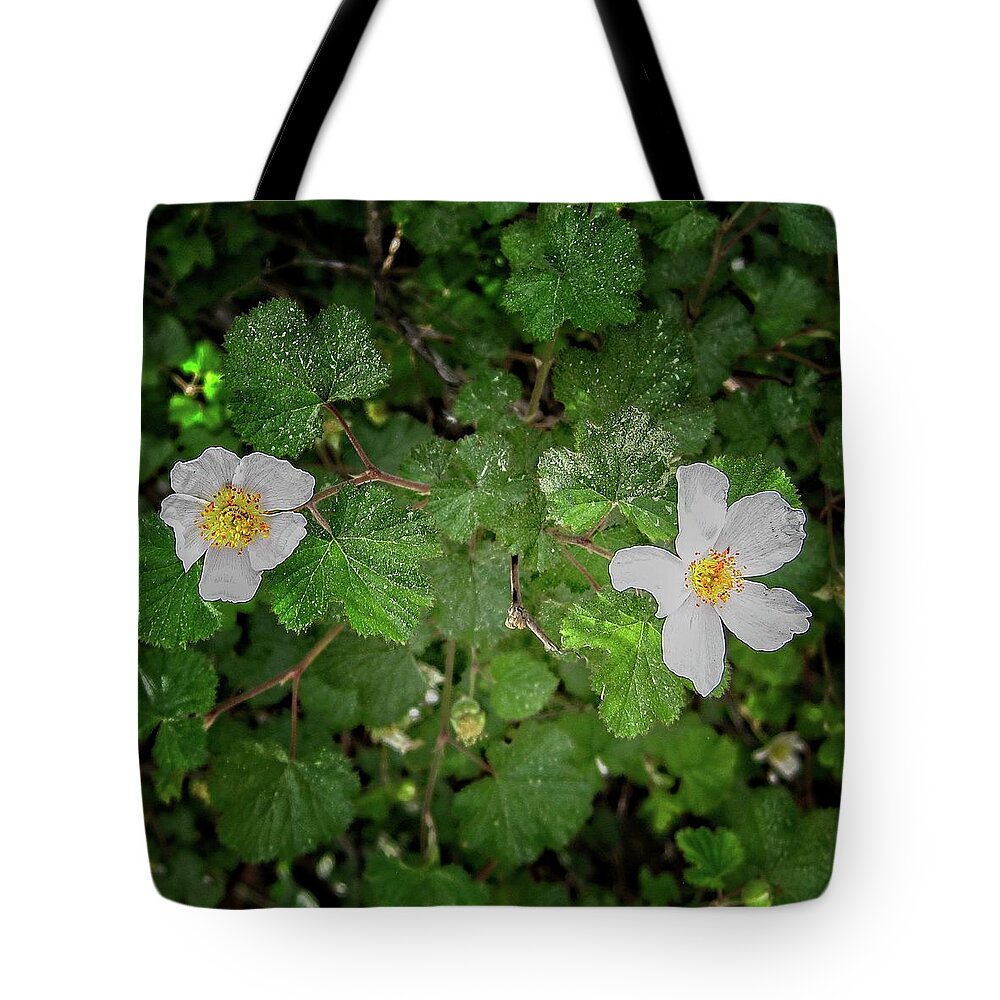 Growth Tote Bag featuring the photograph Wild raspberry blossoms by Loren Gilbert