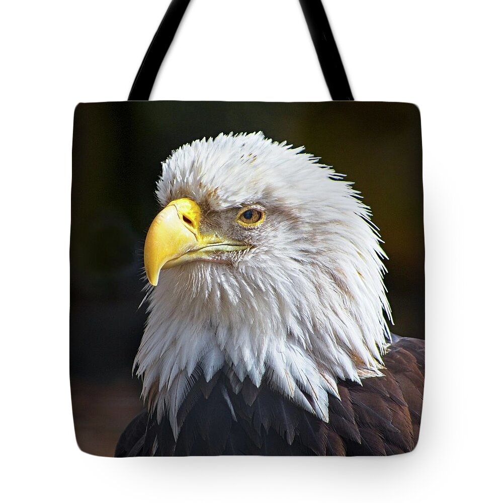 Animal Tote Bag featuring the photograph Watchful Bald Eagle by Loren Gilbert