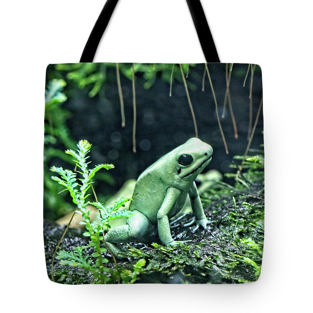 Leaf Tote Bag featuring the photograph A Pale Green Frog by Loren Gilbert