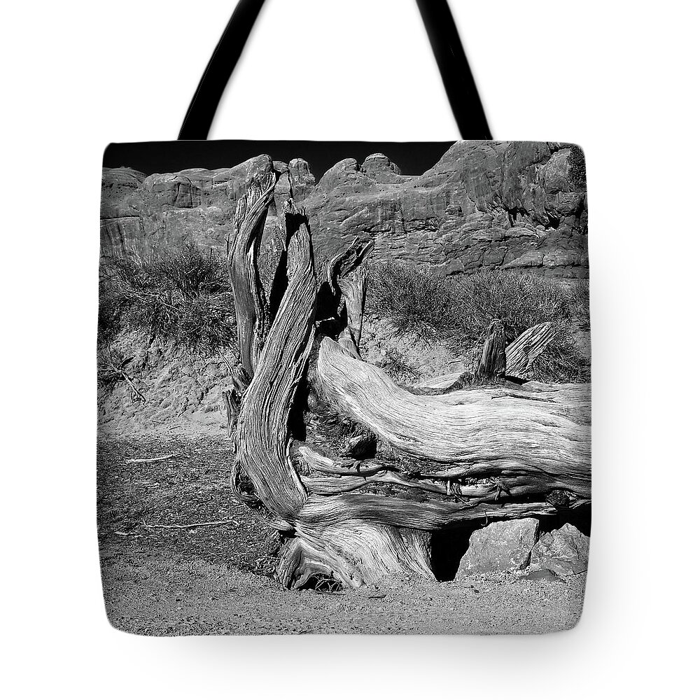 Abstract Tote Bag featuring the photograph Bleached Wood #2 by Loren Gilbert
