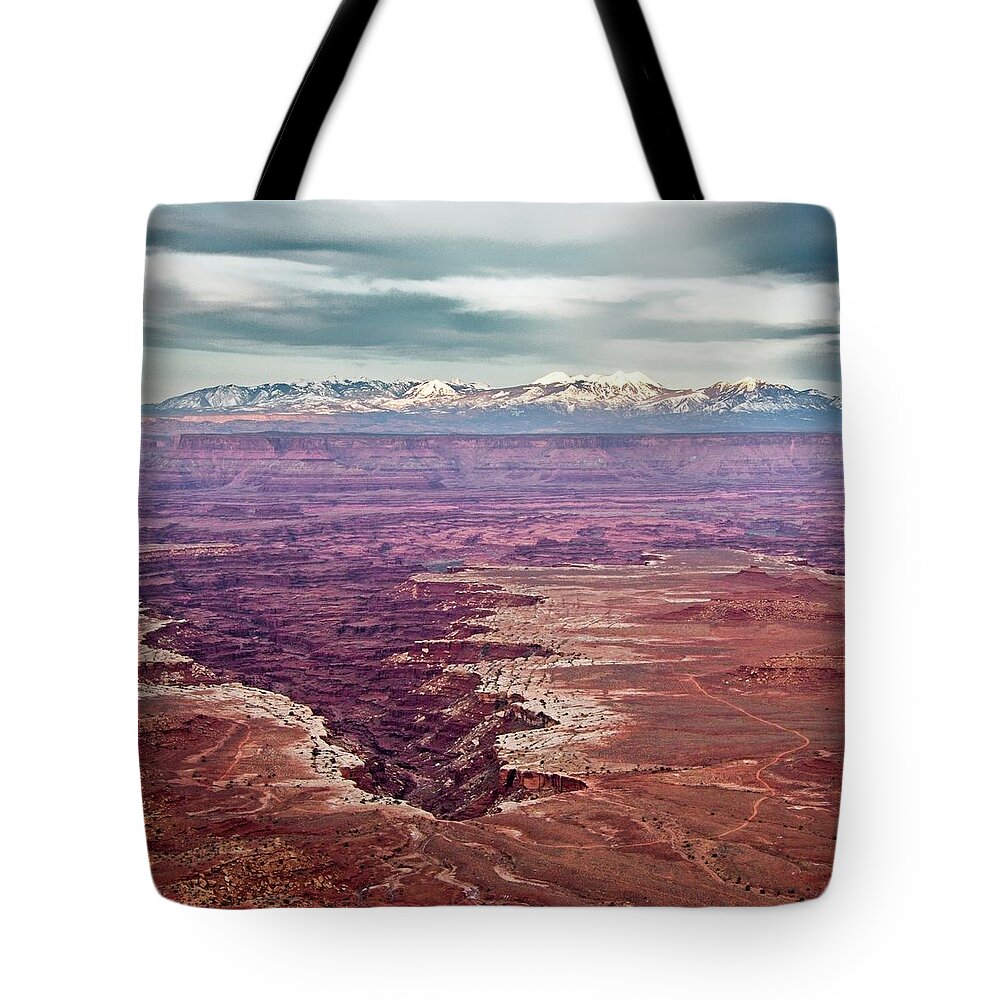 Landscape Tote Bag featuring the photograph A great crack in the earth in the Canyonlandsf a branch. by Loren Gilbert