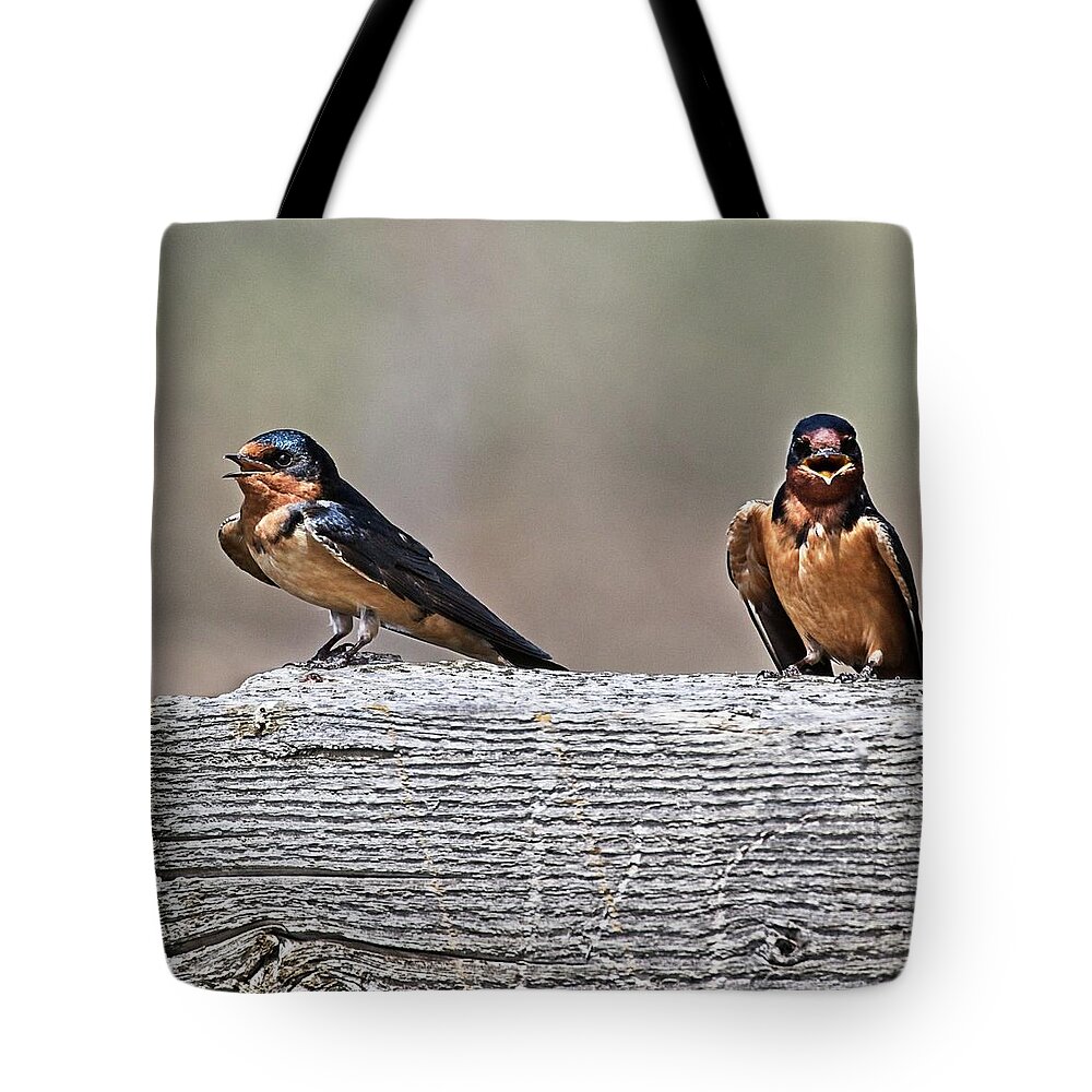Wildlife Tote Bag featuring the photograph A Pair of Cheep Friends by Loren Gilbert