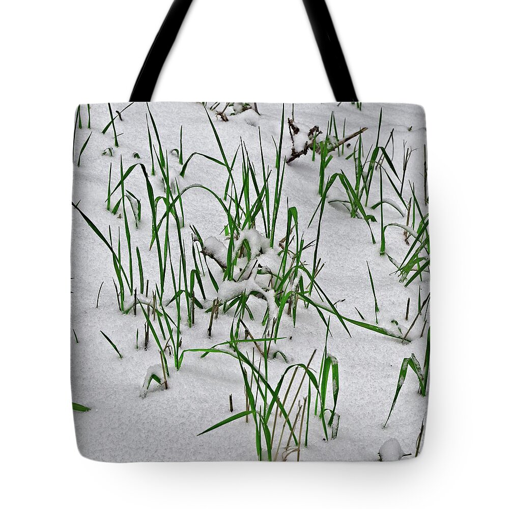 April Tote Bag featuring the photograph Late Spring Snow by Loren Gilbert