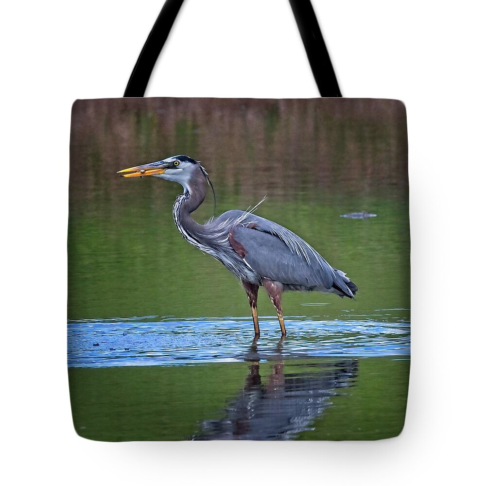 America Tote Bag featuring the photograph A Great Blue Heron Enjoying His Lunch by Loren Gilbert