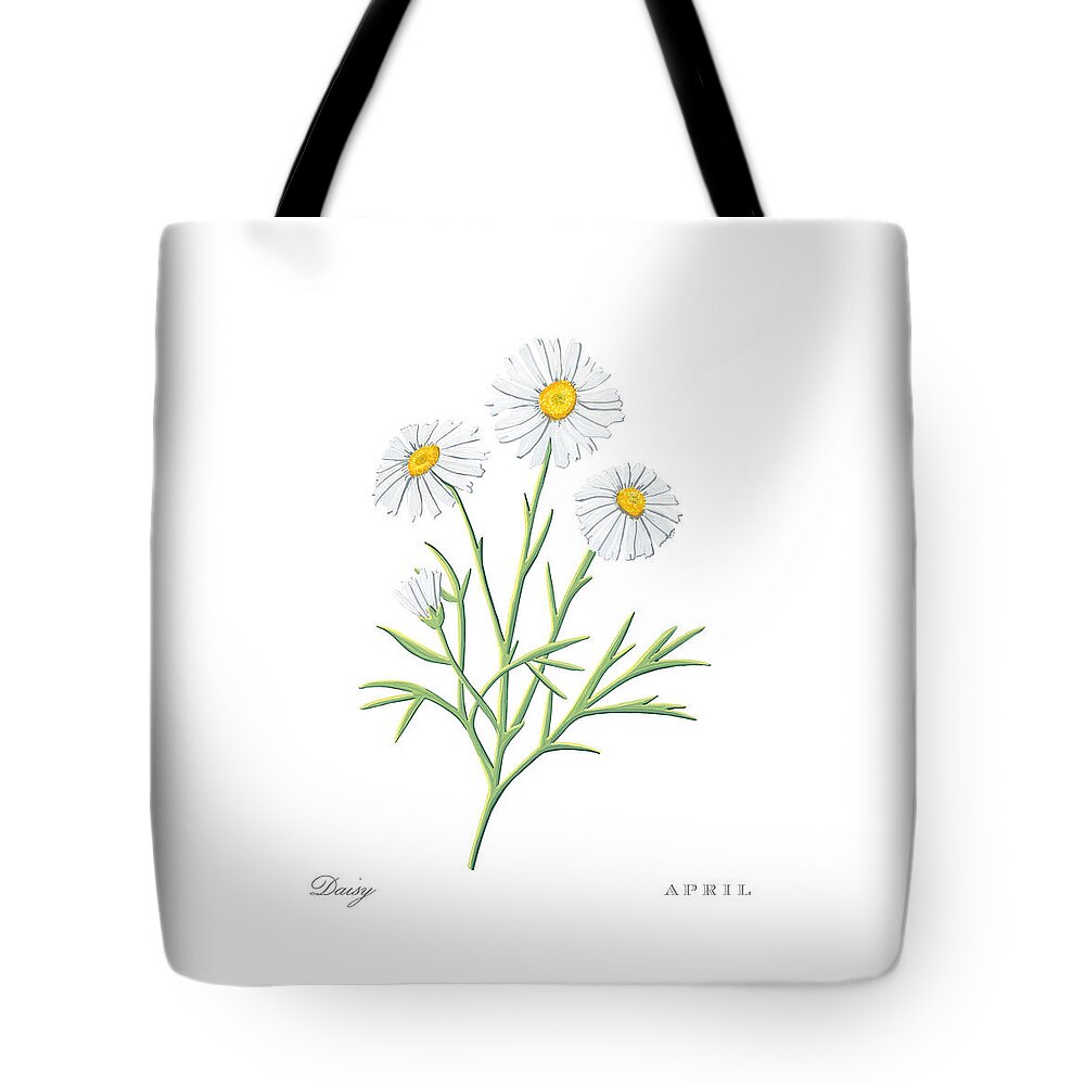 Daisy Tote Bag featuring the painting Daisy April Birth Month Flower Botanical Print on White - Art by Jen Montgomery by Jen Montgomery