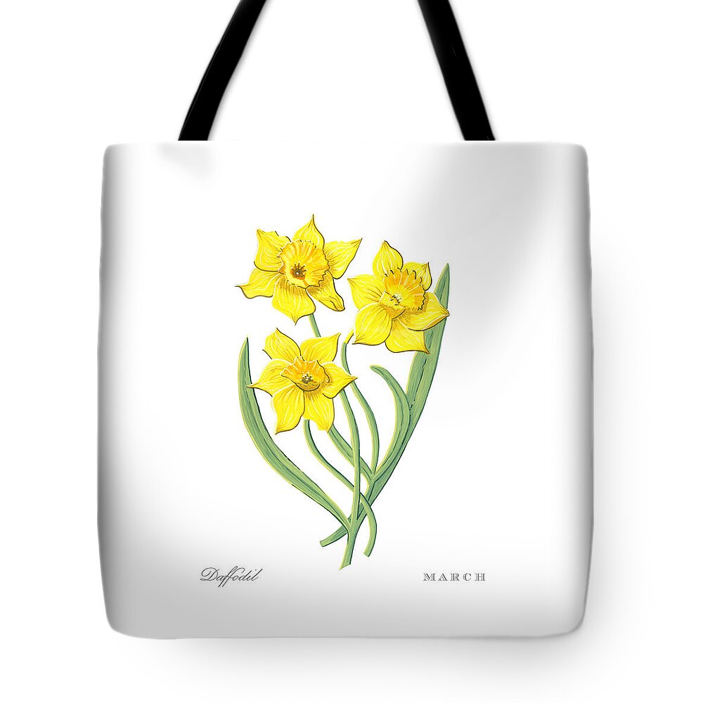 Daffodil Tote Bag featuring the painting Daffodil March Birth Month Flower Botanical Print on White - Art by Jen Montgomery by Jen Montgomery