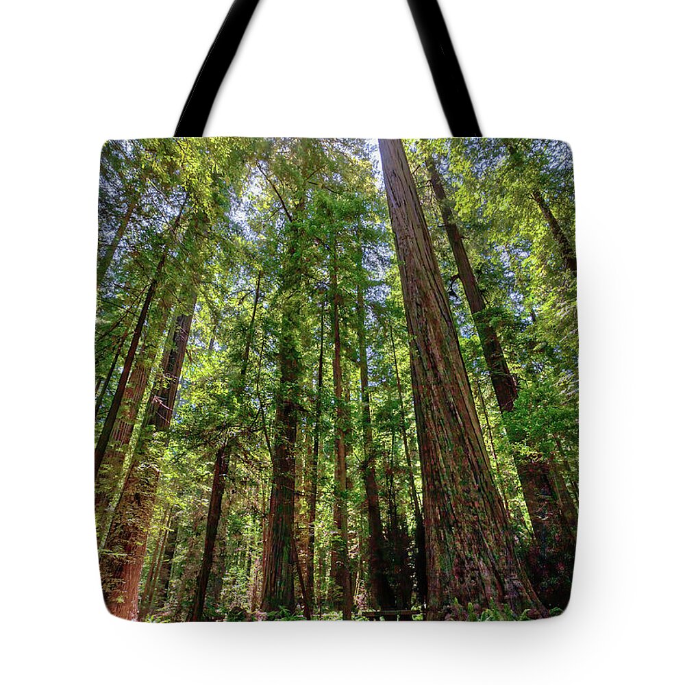California Tote Bag featuring the photograph As Tall as Tall Can Be by Dan Carmichael