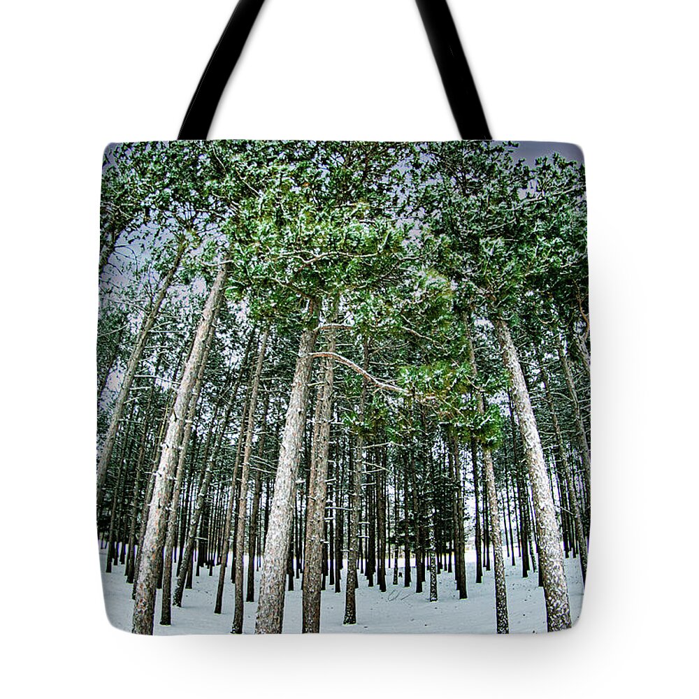 Trees Tote Bag featuring the photograph Ascender 1 by Phil S Addis