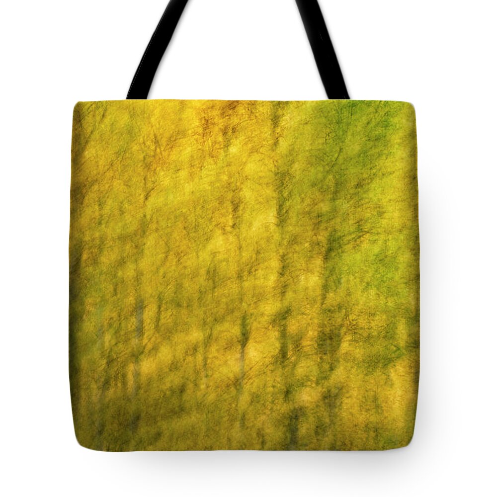 Aspen Tote Bag featuring the photograph Aspen Abstract, No. Three by Denise Bush