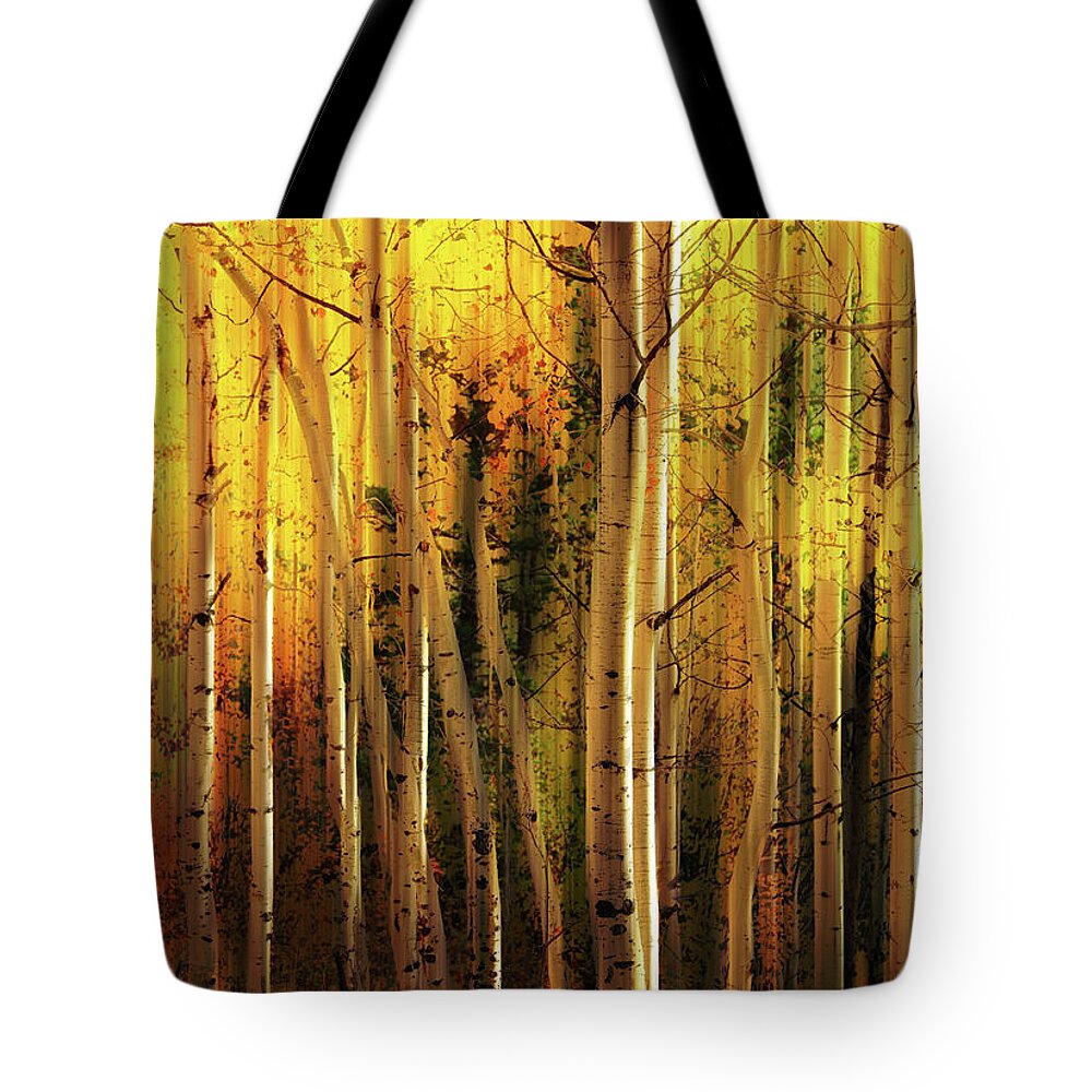 Aspen Glory Tote Bag featuring the photograph Aspen Glory by Dan Sproul