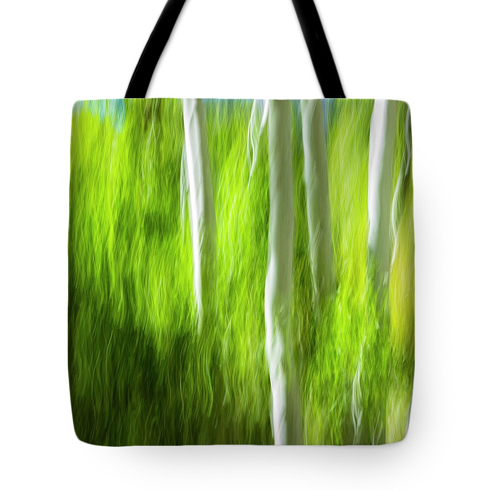 Aspen-trees Tote Bag featuring the photograph Aspen Illusions by Gary Johnson
