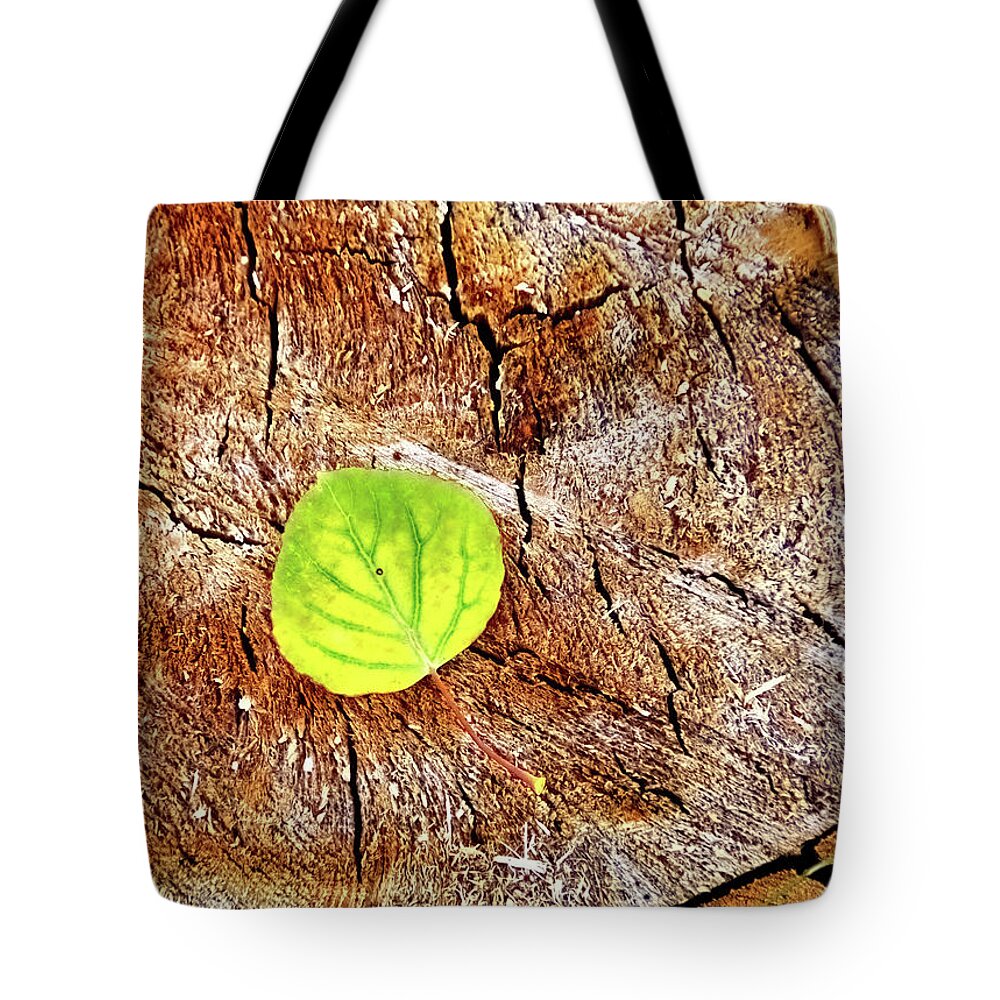 Aspen Tote Bag featuring the photograph Aspen on Wood by Bob Falcone