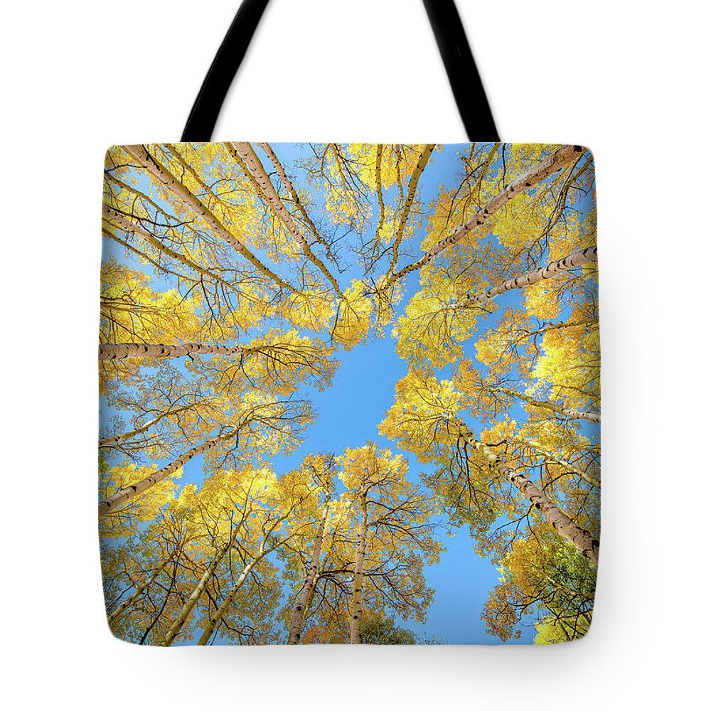 Aspen Tote Bag featuring the photograph Aspen Perspective by David Downs