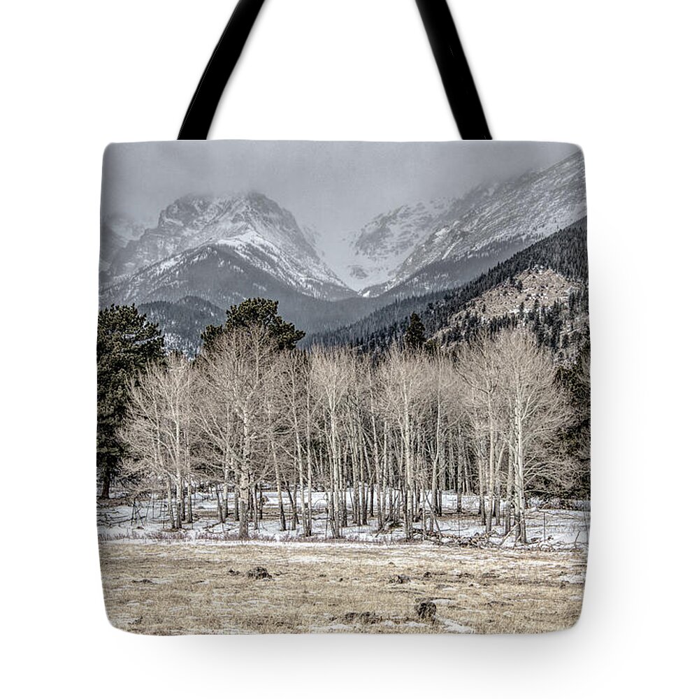 Rocky Mountains Tote Bag featuring the photograph Aspen Skies, Desaturated Color by Marcy Wielfaert