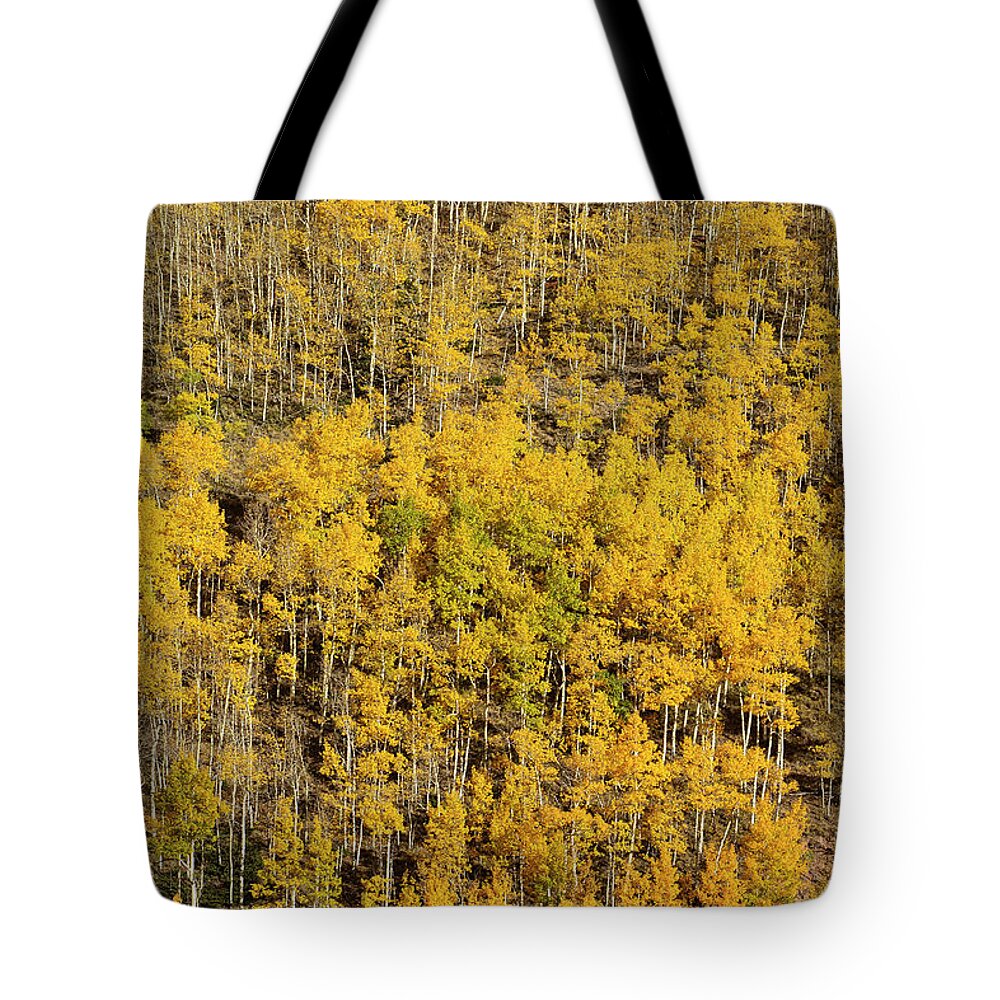 Aspen Tote Bag featuring the photograph Aspen Texture by Aaron Spong