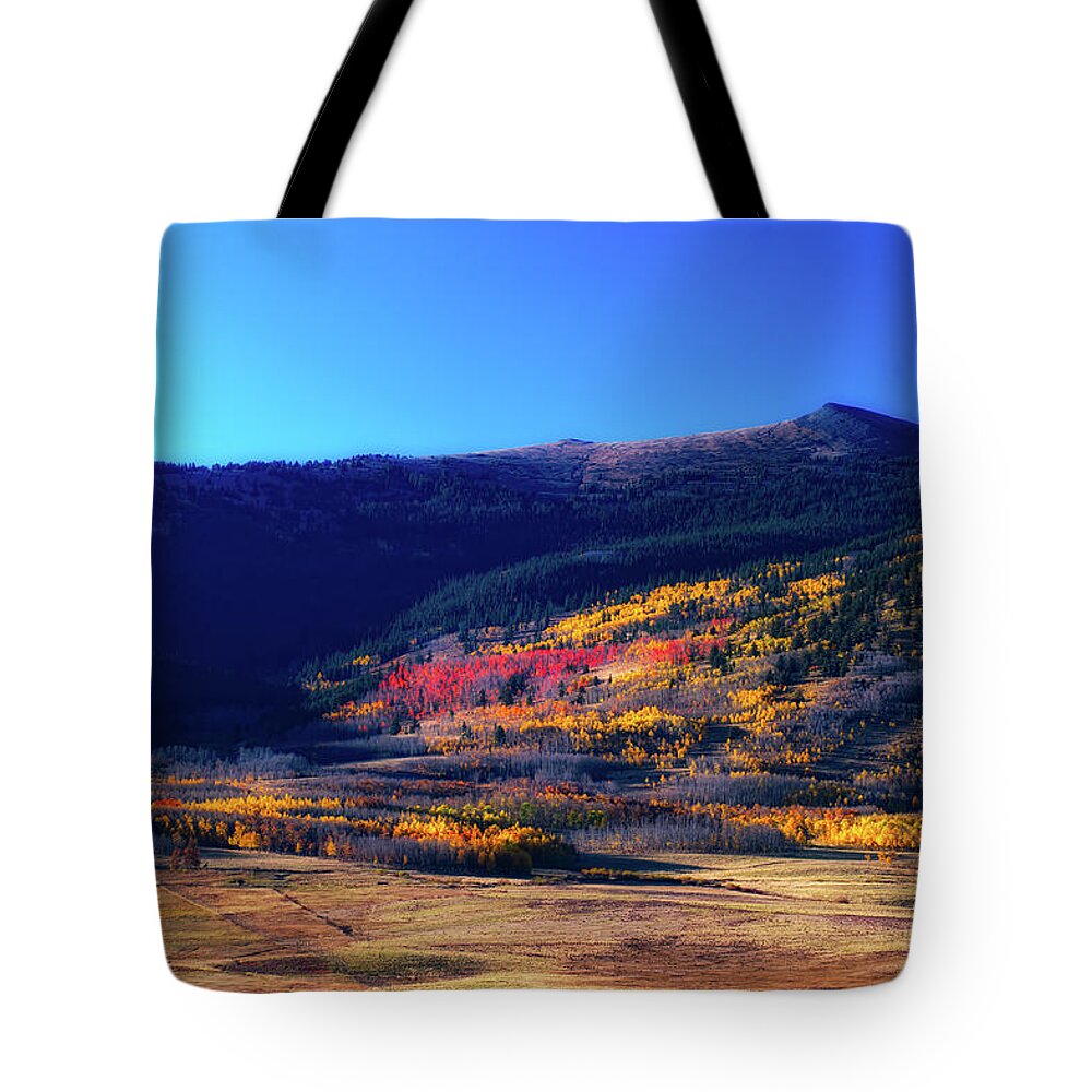 Co Tote Bag featuring the photograph Aspens in sunlight #2 by Doug Wittrock